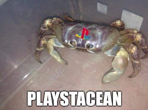 a-hobbit-of-the-shire:memewhore:
