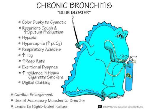 nursingnerds:  COPD: A progressive, nonreversible disruption of airflow caused by chronic bronc