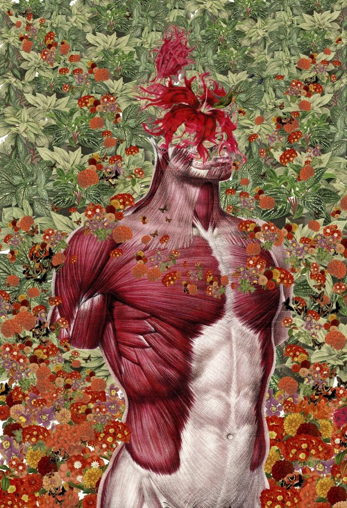 exhibition-ism: Incredible anatomical collage works from Travis Bedel - follow him on Tumblr HERE