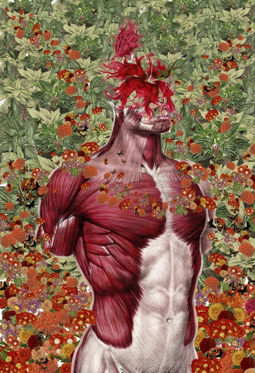 Sex culturenlifestyle: Stunning Anatomical Collages pictures