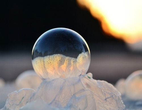 crookedindifference:  This Is What Happens When You Freeze Bubbles