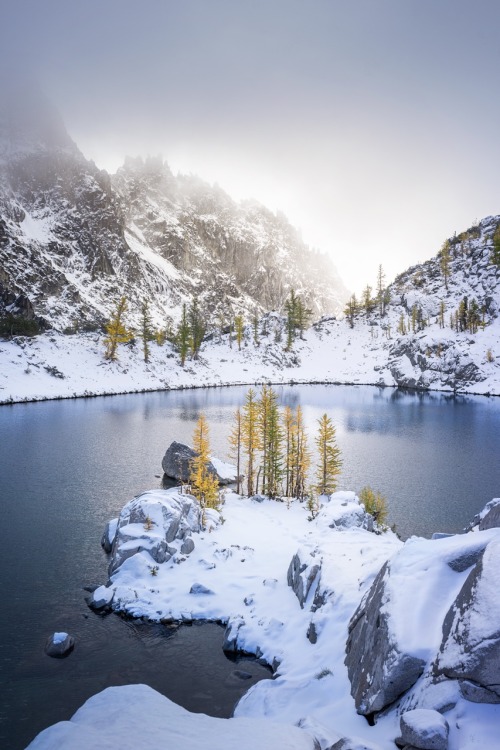 Larch Season . Complete first set of my Enchantments work from October 2019. A variety of my favorit