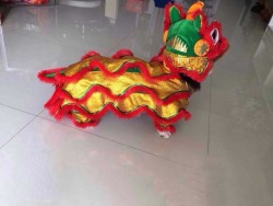 chubbythecorgi:  Cousin sent me these pics from China. Happy Chinese New Year!! 