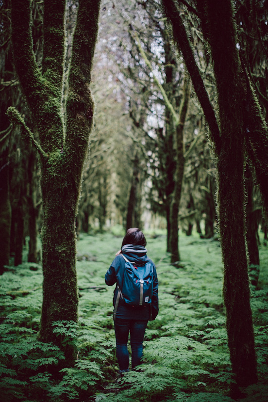 thedeepvibes:Girl / Nature / Quote / Skate / Car Blog