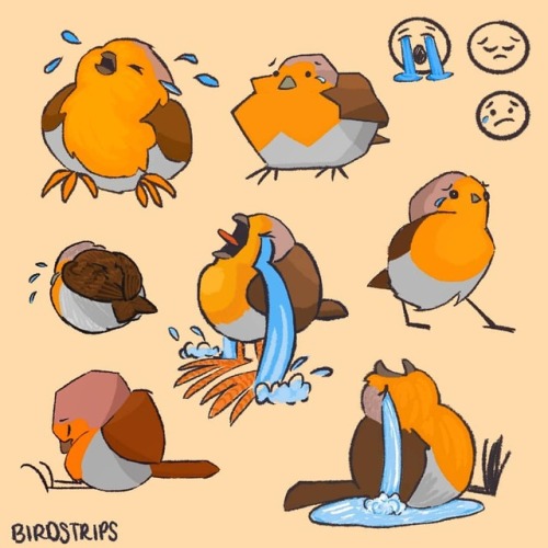 Bird no. 576. Varying degrees of sadness..Gosh I&rsquo;m learning so much with this theme about colo