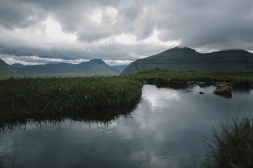 stephaniedolen: faroe islands, july 2018