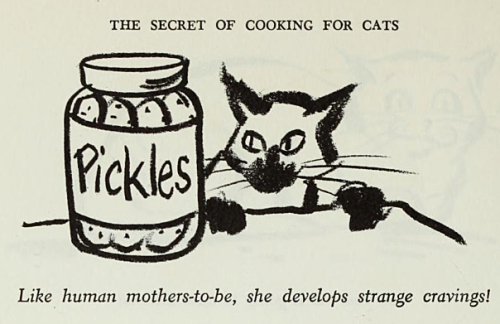 yesterdaysprint:The Secret of Cooking for Cats, written by Martin A Gardner and illustrated by Clare