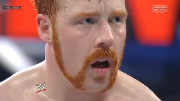 dixiewildflower:  Sheamus’ sex hair from last night.