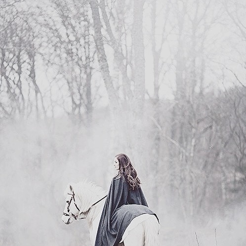 perspephone:  Fairytale Moodboard | Beauty and the Beast Tale as old as time, song as old as rhyme.  