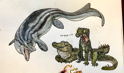 First batch of request doodles&hellip; golly I got a lot of requests! A platecarpus, a gator and a p