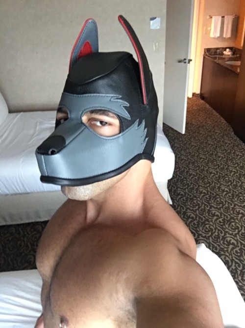 musclepuptank: I love my new hood from @mr-s-leather. Thanks to Skeeter for the great work. Happy pu