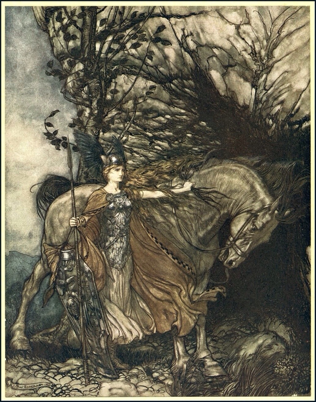 samguayart:  templeofapelles:   Arthur Rackham, Illustration of a Valkyrie  I have