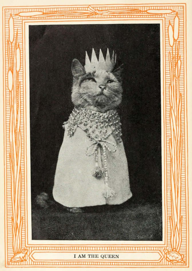 yesterdaysprint:    Kittens and Cats; A Book of Tales,  Eulalie Osgood Grover (and