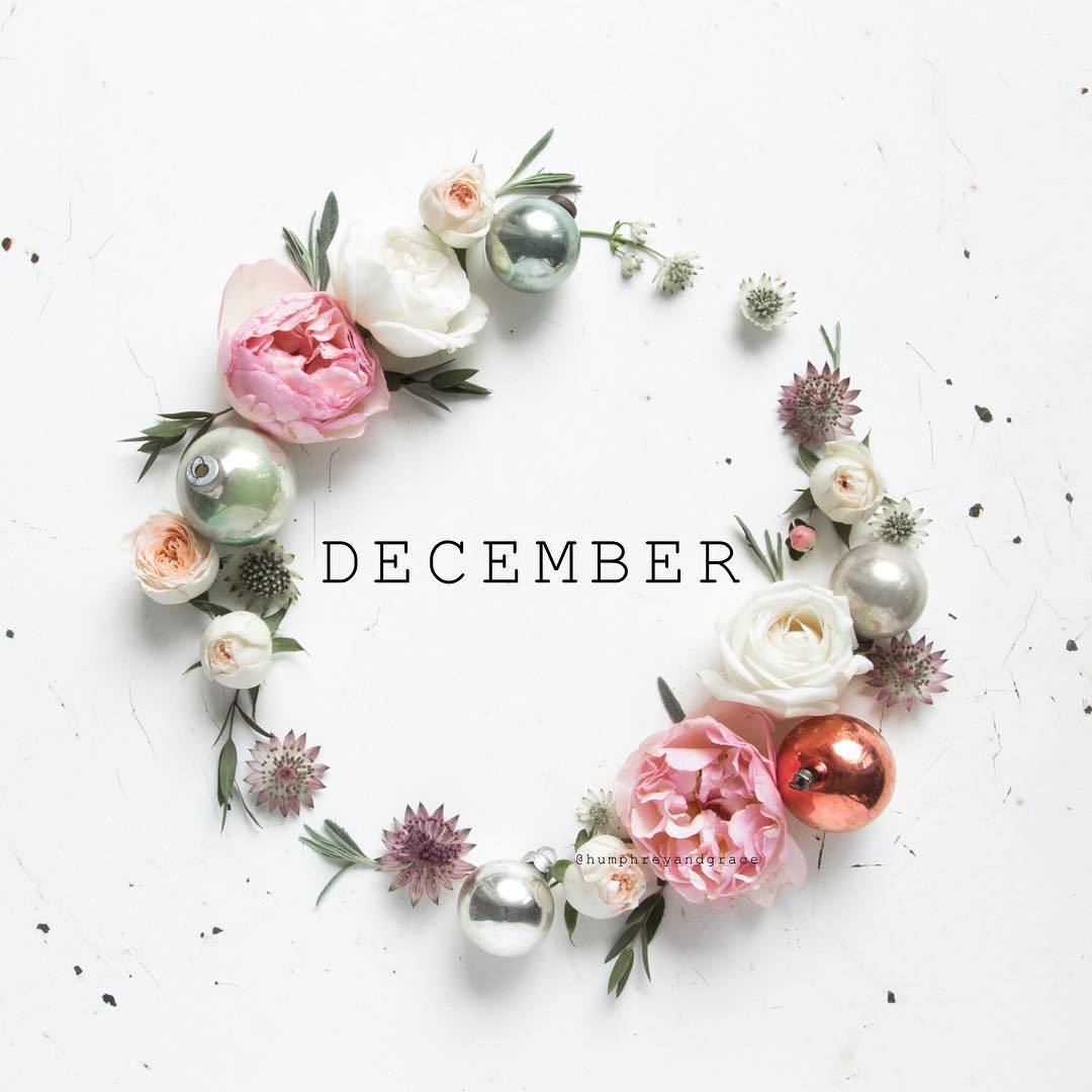 grace–upon–grace: @humphreyandgrace.