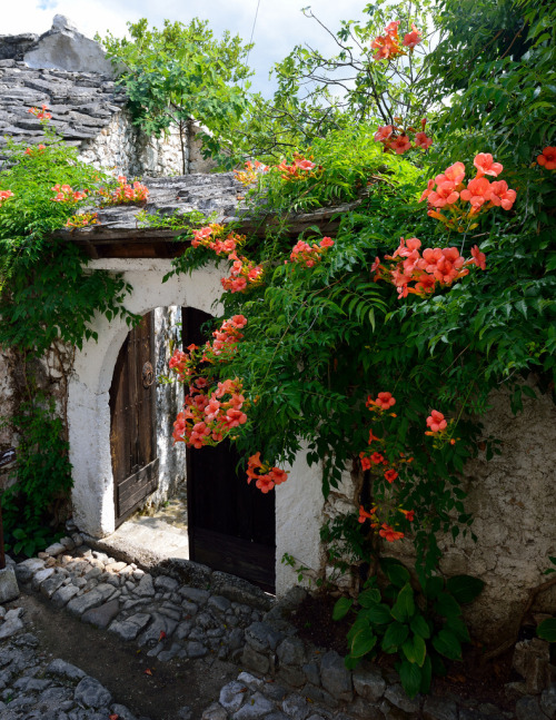 allthingseurope:  Blagaj, Bosnia and Herzegovina (by putniknamjernik) 