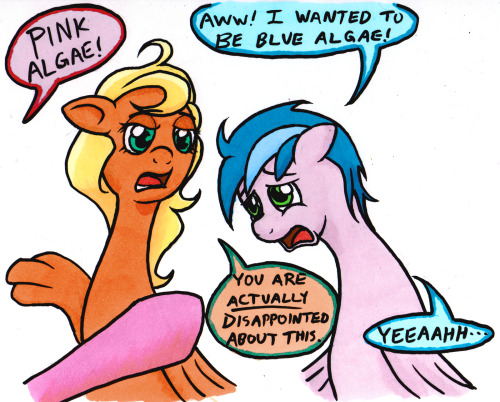 ask-seaswirl:Sea Swirl: Blue-Green Algae seems even more appropriate for her, but it’s a bit of a mouthful! They’re all looking at me so passionately! They must really like their new names!X3!!