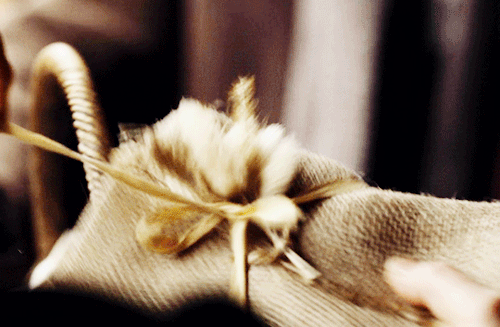 》 Anne With An E ⇢ 2.08 “Struggling Against The Perception Of Facts” 