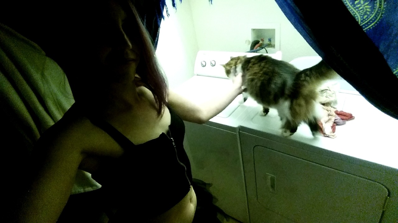 Laundry day with my kitty, Viserion.