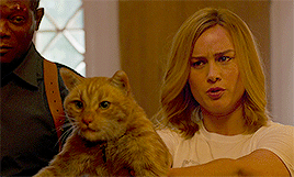 Jones In Alien (1979) // Goose In Captain Marvel (2019)