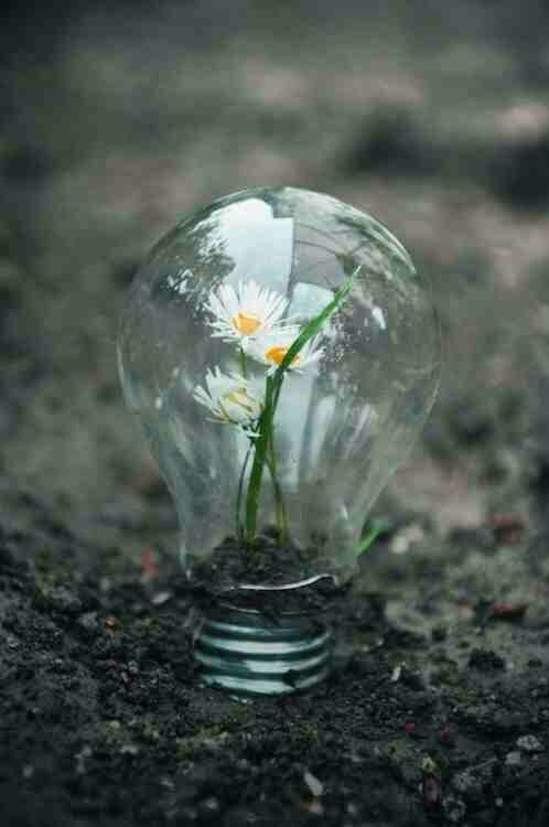 ollebosse:  grunge |