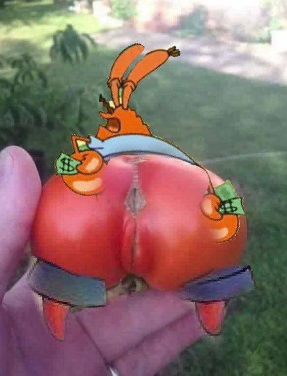brownsugarshawtyy:  hypnotic-flow:  lyonnnss:  onlyblackgirl:  watermelonismyoneandonly: