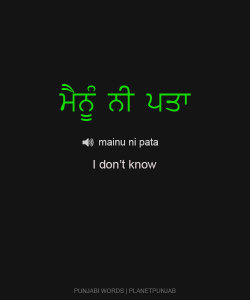 planetpunjab:  ਮੈਨੂੰ ਨੀ ਪਤਾ (mainu ni pata) : i don’t know