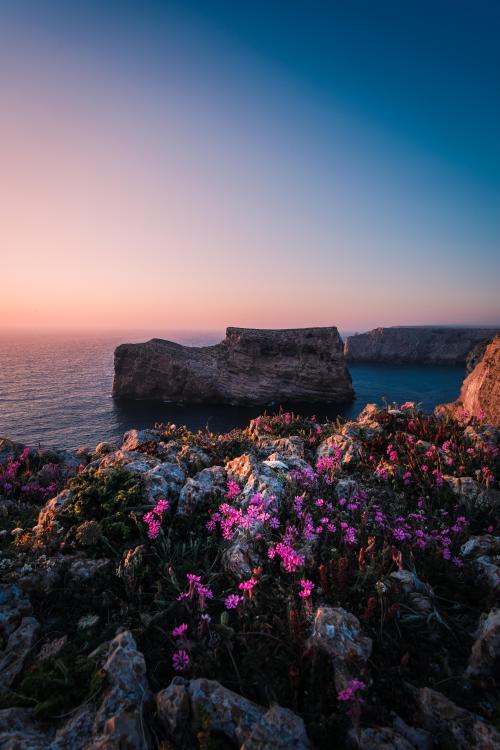 oneshotolive:  Sunset at Cabo de São Vicente, Portugal [4000x6000] [OC] 📷: Kees_Gort 