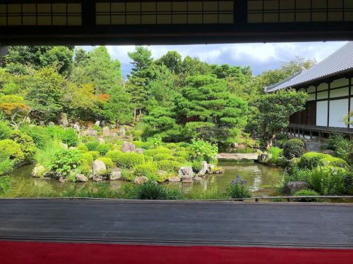 等持院庭園 [ 京都市北区 ] Toji-in Temple Garden, Kyoto の写真・記事を更新しました。 ーー #足利尊氏 が創建した、室町幕府・足利将軍家の菩提寺に残る、足利義政好み