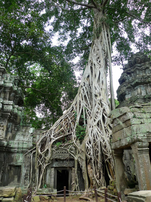 asianfavorit: Cambodia