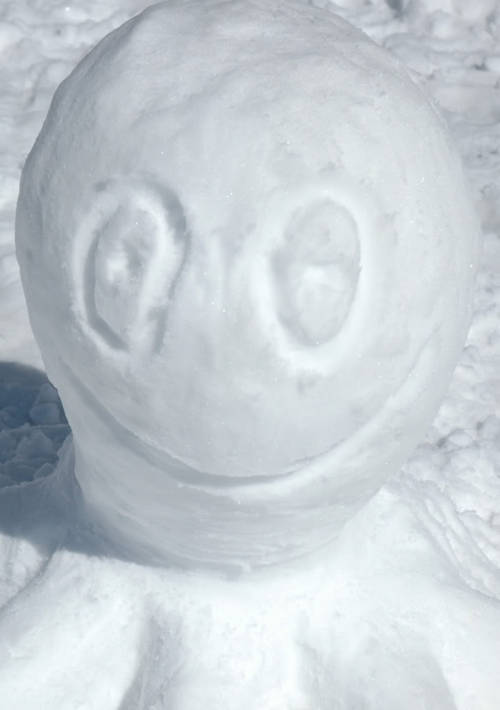 Sex muchneededmerch:  Holly snow balls! Awesome pictures