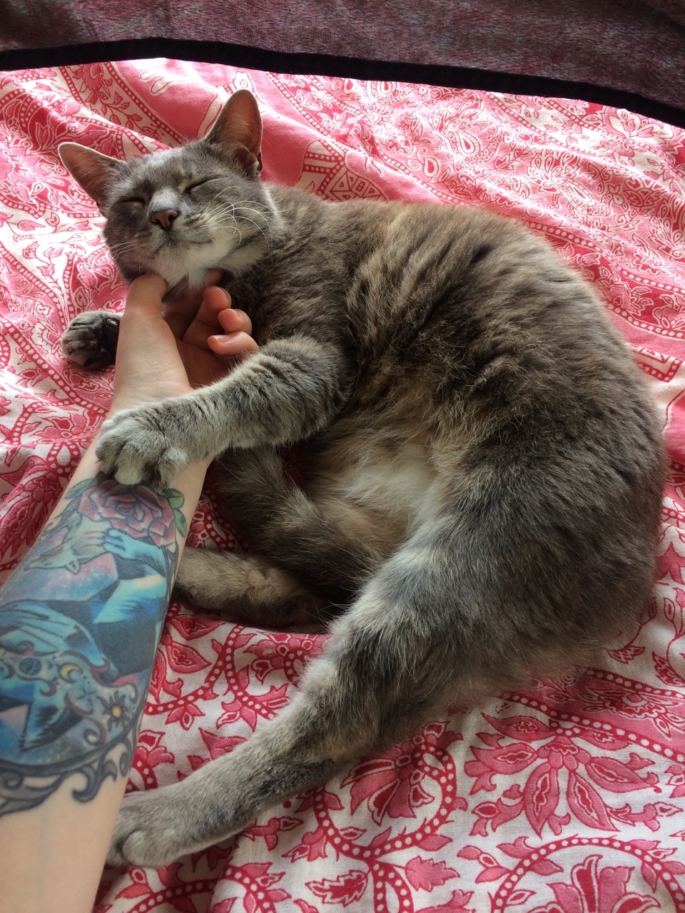 calamitytatzelwurm:This is a good soft girl, noble and true