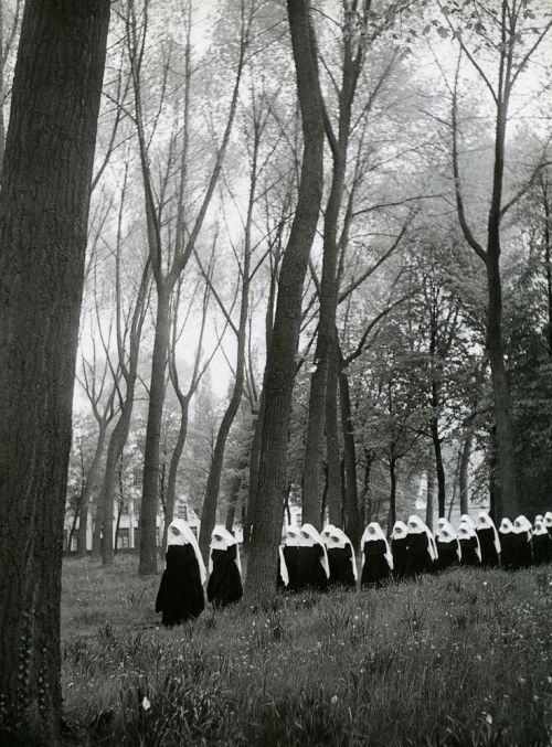 tytusjaneta: Willy Ronis Béguinage de Bruges, 1951