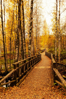 bluepueblo:  Autumn Bridge, Finland photo via becca 