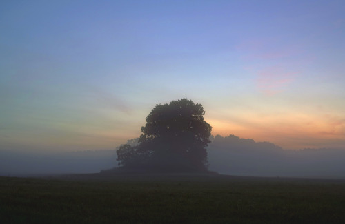 Seeking comfort in solitude.