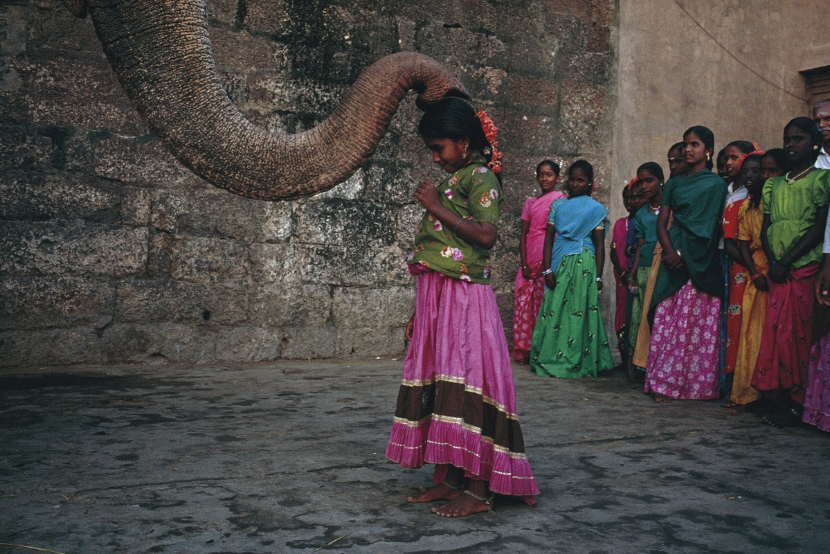 nubbsgalore:  receiving a blessing from an elephant at a holy temple in the indian