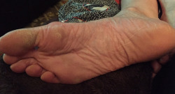 ROUGH SOLES