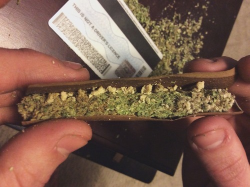 XXX marijuana-aholic:  Pink Kush, Blue Cheese, photo