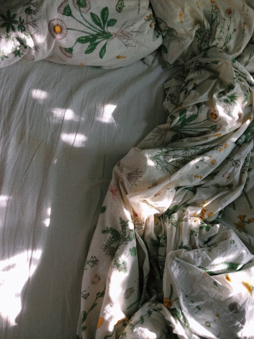 justinelevis: 8:45 am, the sun bright my room