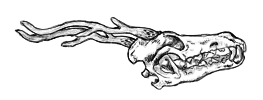 4ad5a1f1e0ed568ede23f13db9db1d94b1002760.png