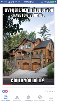 succotashes:  pinkconcepts:  pettydavis:  i-know-that-im-short:  ​I would burn Facebook to the ground for a tic tac if I was given the opportunity   this house is fucking ugly. so no.  I live in a apartment so yes cause I never use Facebook anyway 