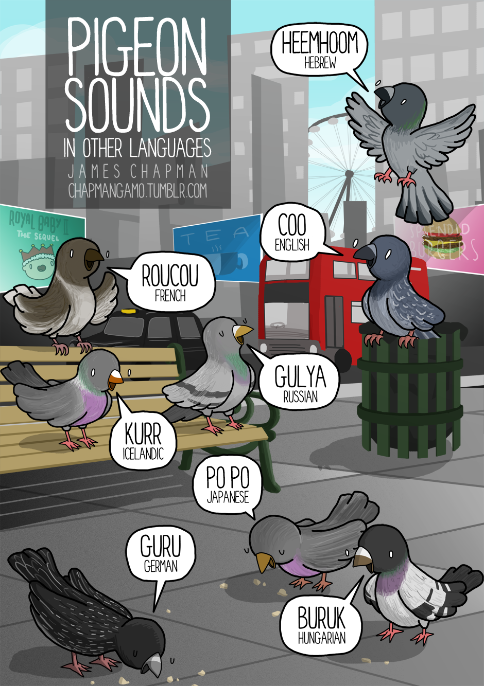 JAMES CHAPMAN DRAWS — How to sound like a pigeon in 8 languages ...