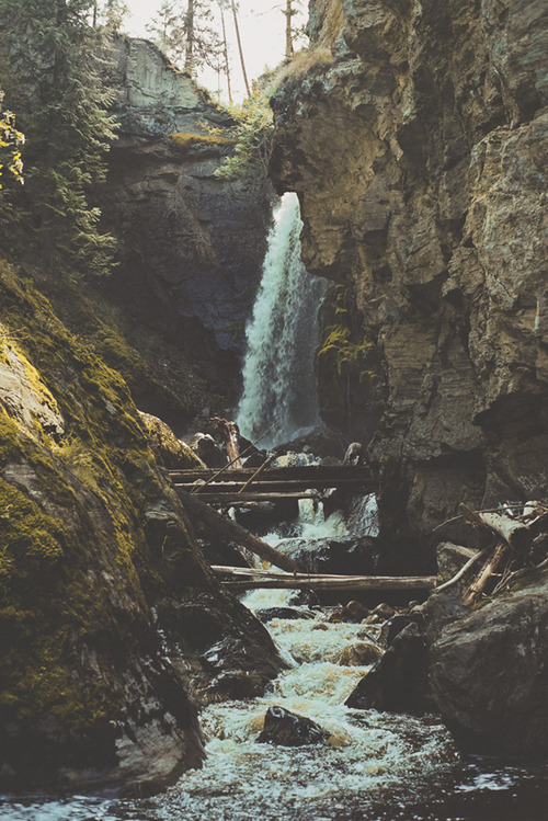 vhord:  strictly nature
