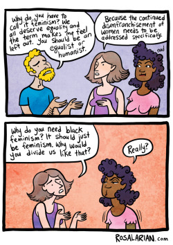 boobsdontworkthatway:  rosalarian: Gonna keep a tally of messages I get from a) white feminists completely proving my point and b) people who think this comic proves feminism is worthless because I criticized one part of it. (Even despite me writing these