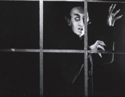 brundleflyforawhiteguy:  Nosferatu (1922)