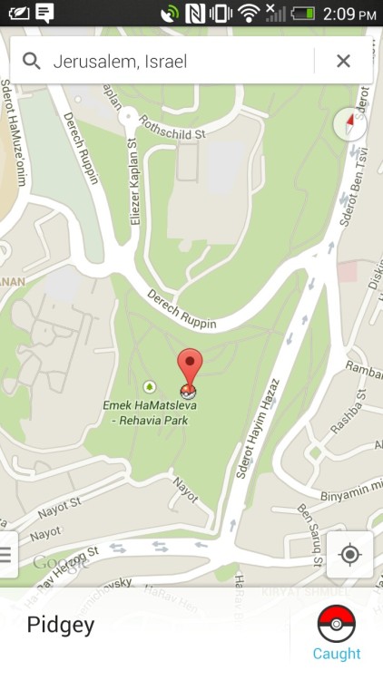 thehardie:  Pidgey in Jerusalem. Bird Jesus confirmed 