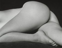 hauntedbystorytelling:  Edward Weston :: Nude, 1934