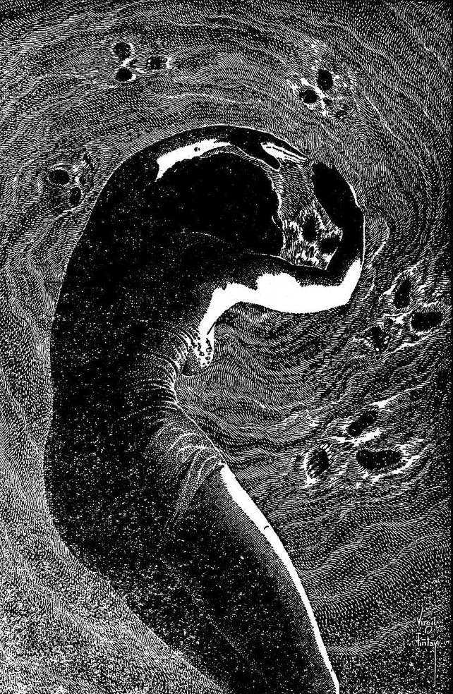 nevver:
“Dancing with death, Virgil Finlay
”