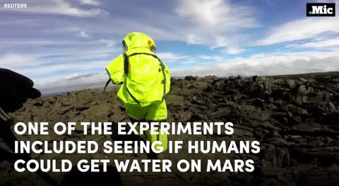 Read More About The Mars Experiment Or Watch The Full Video