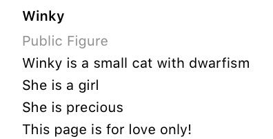 Https://www.instagram.com/winkythedwarfcat/