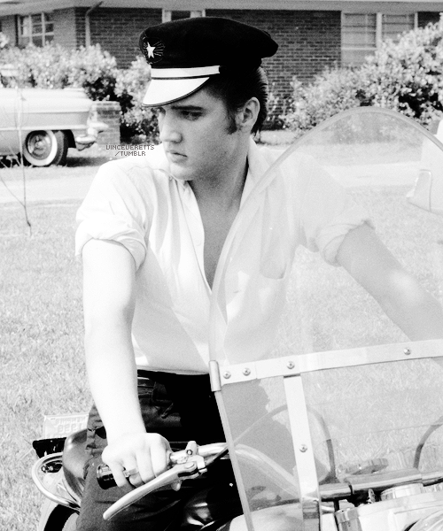vinceveretts:Elvis photographed by Phil Harrington at his Audubon Drive home in Memphis, May 1956.